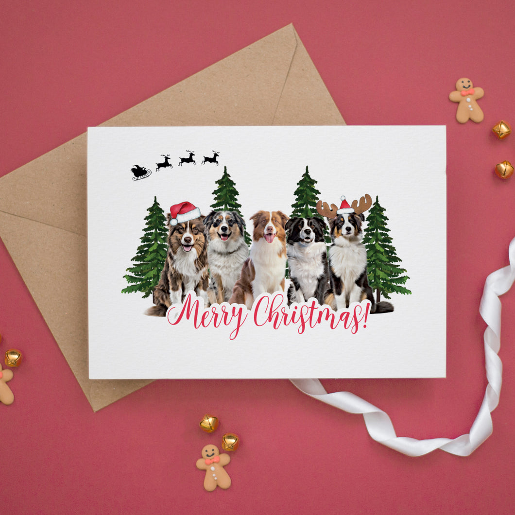 Australian Shepherd Christmas Card